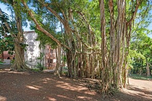 Property grounds - Just Listed! Banyan Retreat at Kalapaki Bay Beach (Lihue)