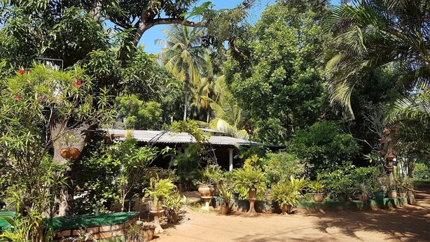 A rustic house surrounded by lush greenery and various potted plants. - Nilmini Lodge (Sigiriya)