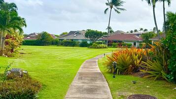 A pathway leading to a residential area with houses, palm trees, and well-maintained lawns.