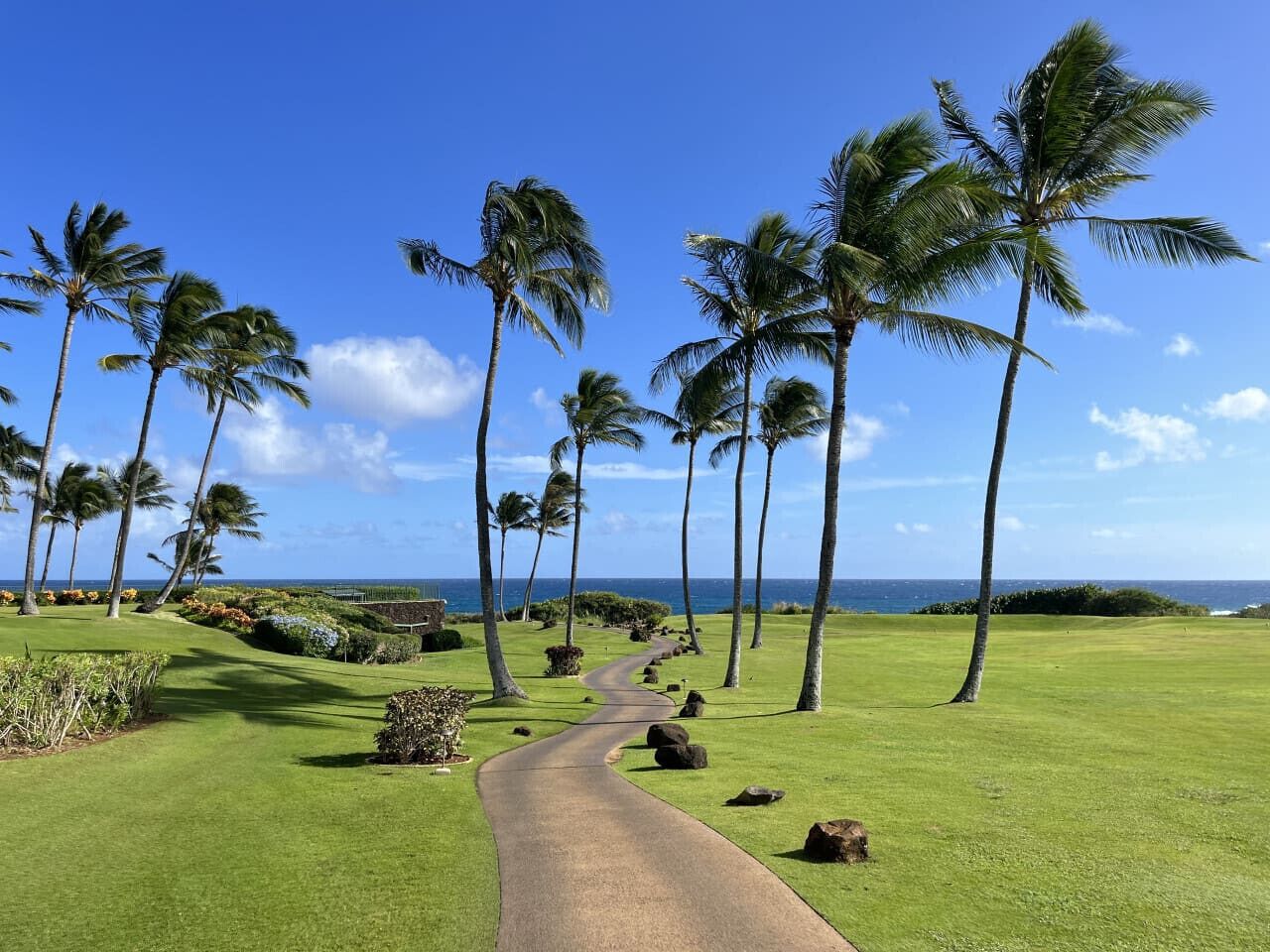 A golf course with a pathway, palm trees, and a view of the ocean.