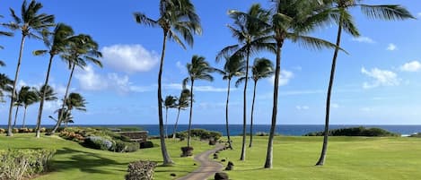 A golf course with a pathway, palm trees, and a view of the ocean.