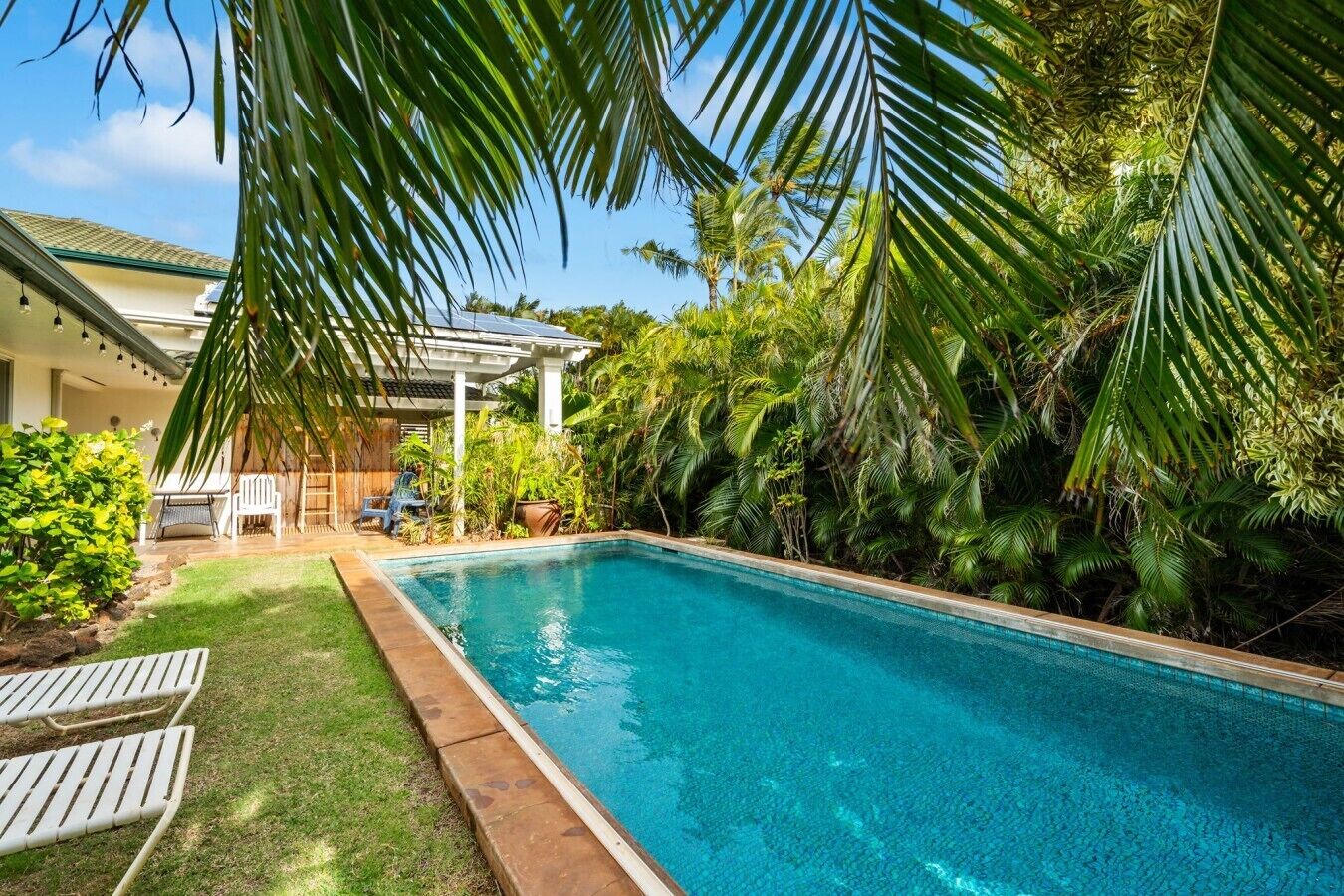 A swimming pool with a surrounding garden, a covered patio, and a view of a building in the background.
