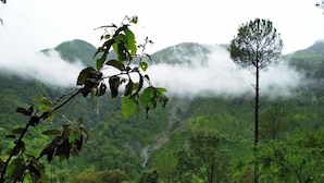 A lush green landscape with a clear view of a valley and mist-covered mountains. - The Silent Valley (Bhimtal)