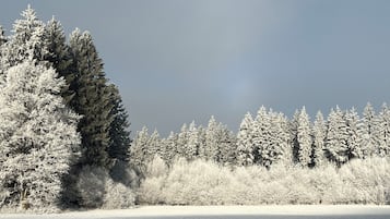 Un paisaje nevado con árboles de hoja perenne frondosos y un cielo despejado.