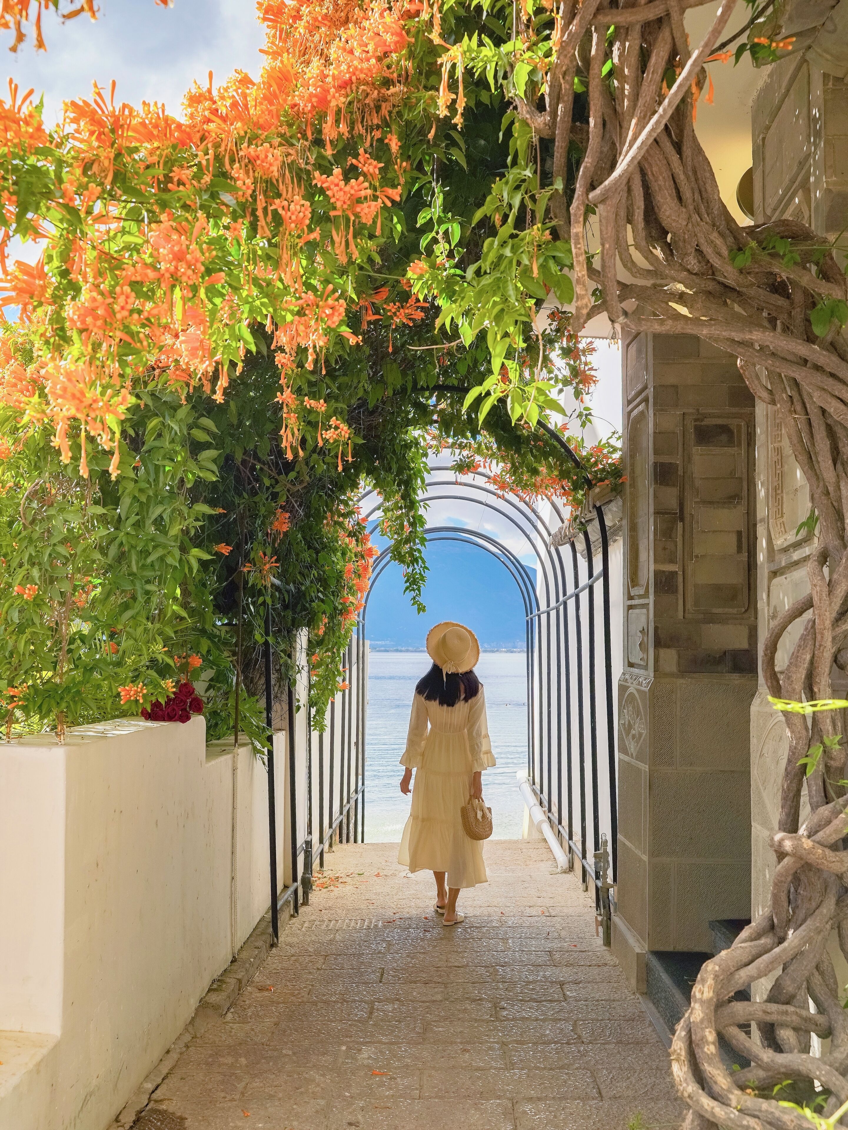 Vista desde la propiedad