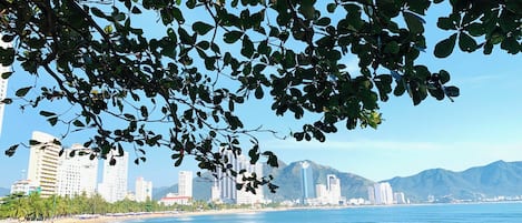 Nær stranden og hvit sand