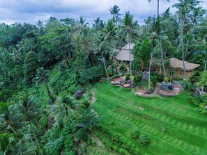 Exterior - Sena Villa Ubud (Ubud)