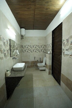 Shower, hair dryer, bidet, towels