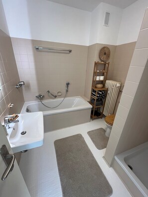 Hair dryer, towels, soap, toilet paper - Idyllic apartment with mountain views near Simssee & Chiemsee (Stephanskirchen)