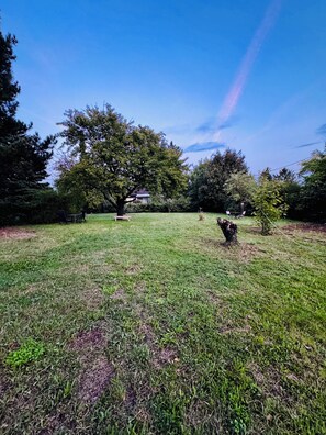 Garden - Stylish 3BR Apt Outdoor Space Sleeps 8 (Vienna)