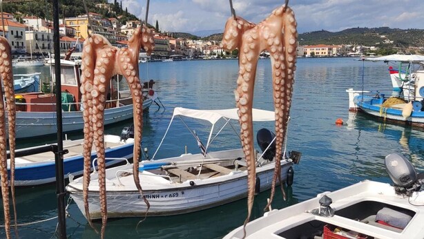 Ein Hafen mit Booten, einem Zelt und Gebäuden im Hintergrund.