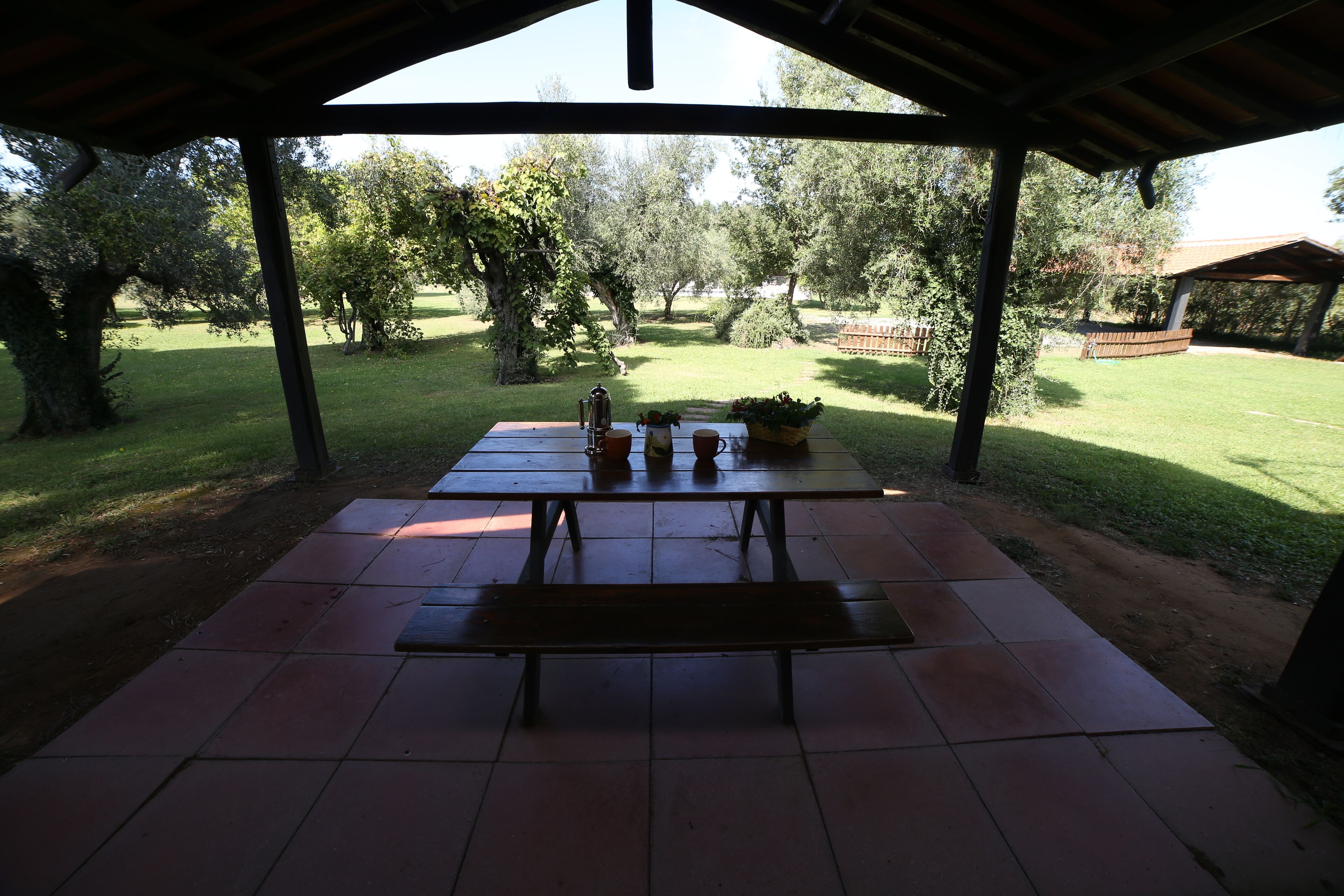 Une terrasse extérieure couverte, dotée d’une table de pique-nique et de bancs, entourée d’arbres et d’une pelouse verdoyante.