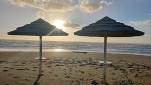 Sun loungers - Apartment with pool in a family farmhouse on the Tuscan coast. (Castagneto Carducci)