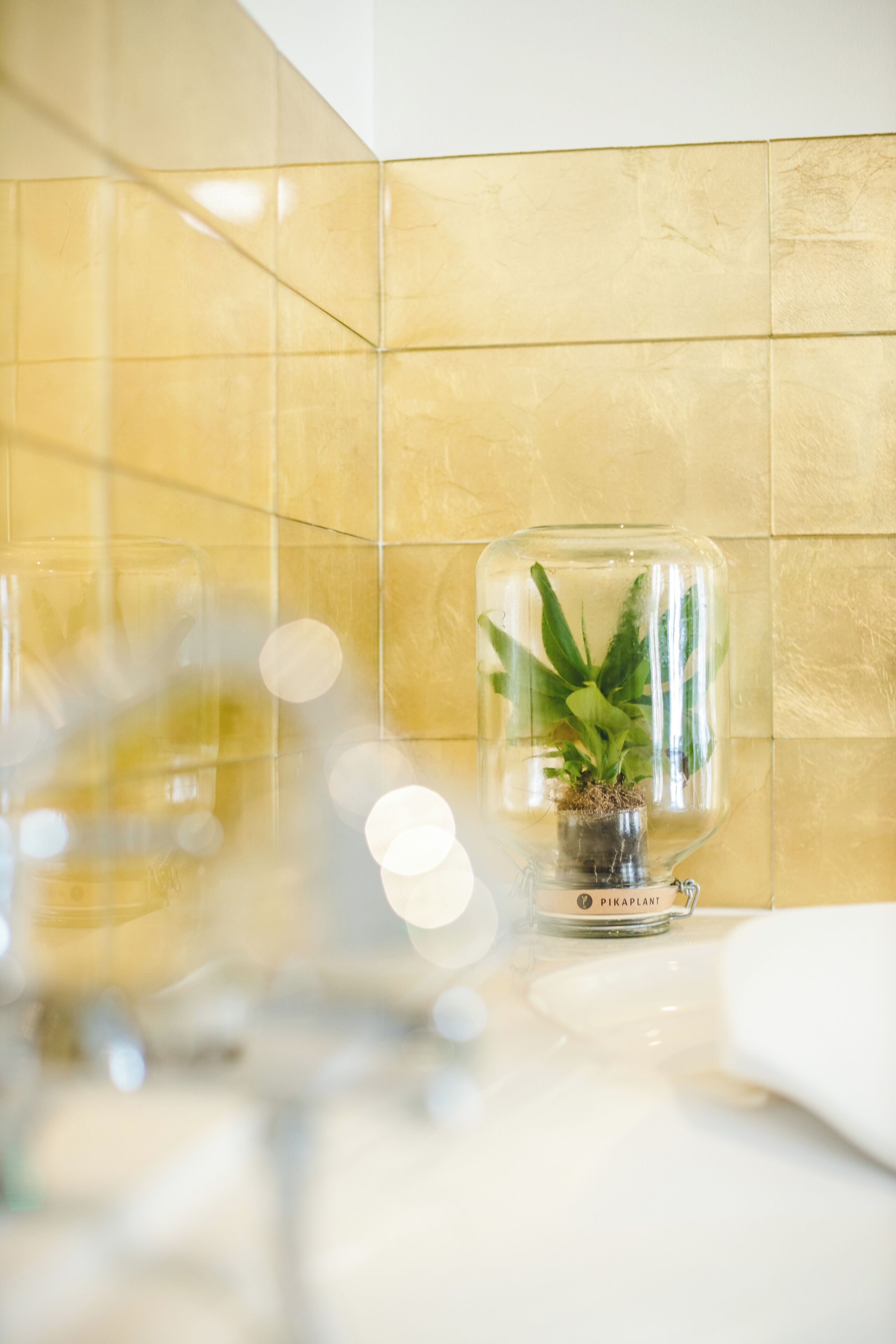 A bathroom with a glass terrarium containing a plant.