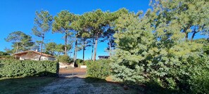 Property grounds - Villa Graine des pins, 14 people, near the ocean (Biscarrosse)