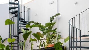 Apartment (2 Bedrooms) | Exterior