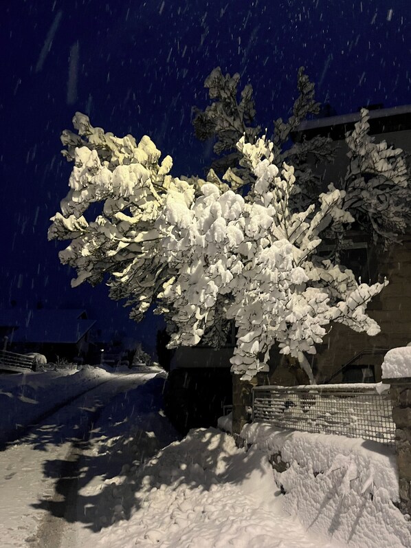 A snow-covered tree in front of a building with a fence. - Beautiful newly renovated apartment in a quiet location in the Steigerwald (Oberaurach)