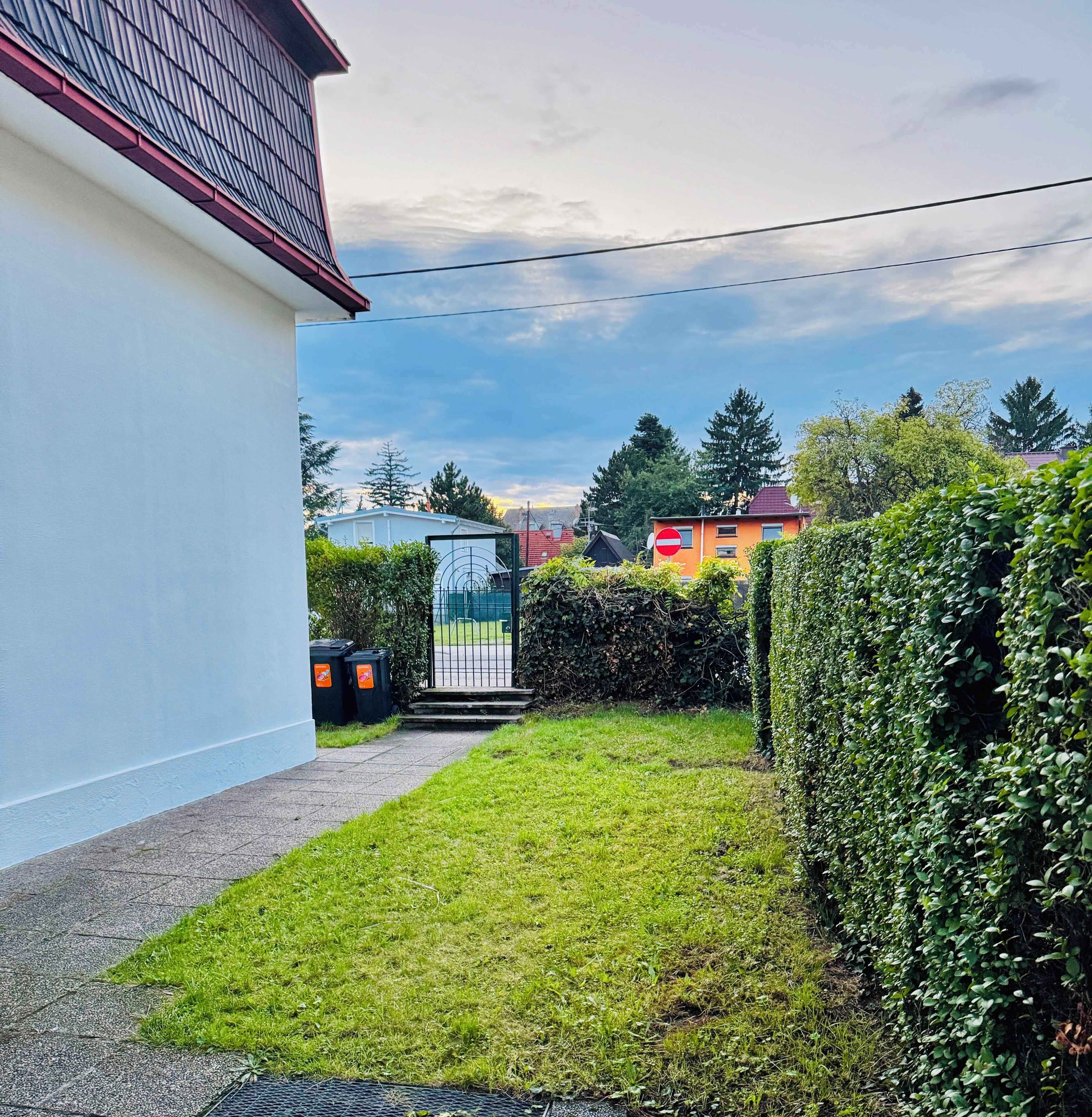 Apartament bàsic | Vista del jardí