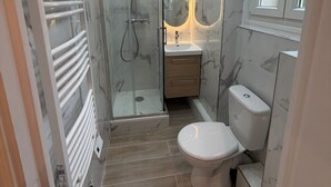 A modern bathroom with a glass-enclosed shower, a toilet, and a vanity with a mirror. - 2-room apartment, new/fully renovated, sleeps 4 (Montrouge)
