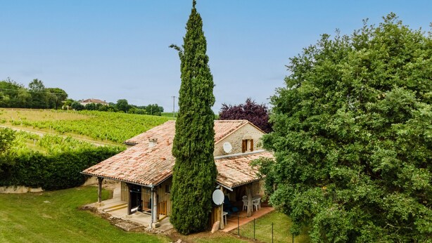 Ein rustikales Haus mit Ziegeldach, umgeben von üppiger Vegetation und einem Weinberg.