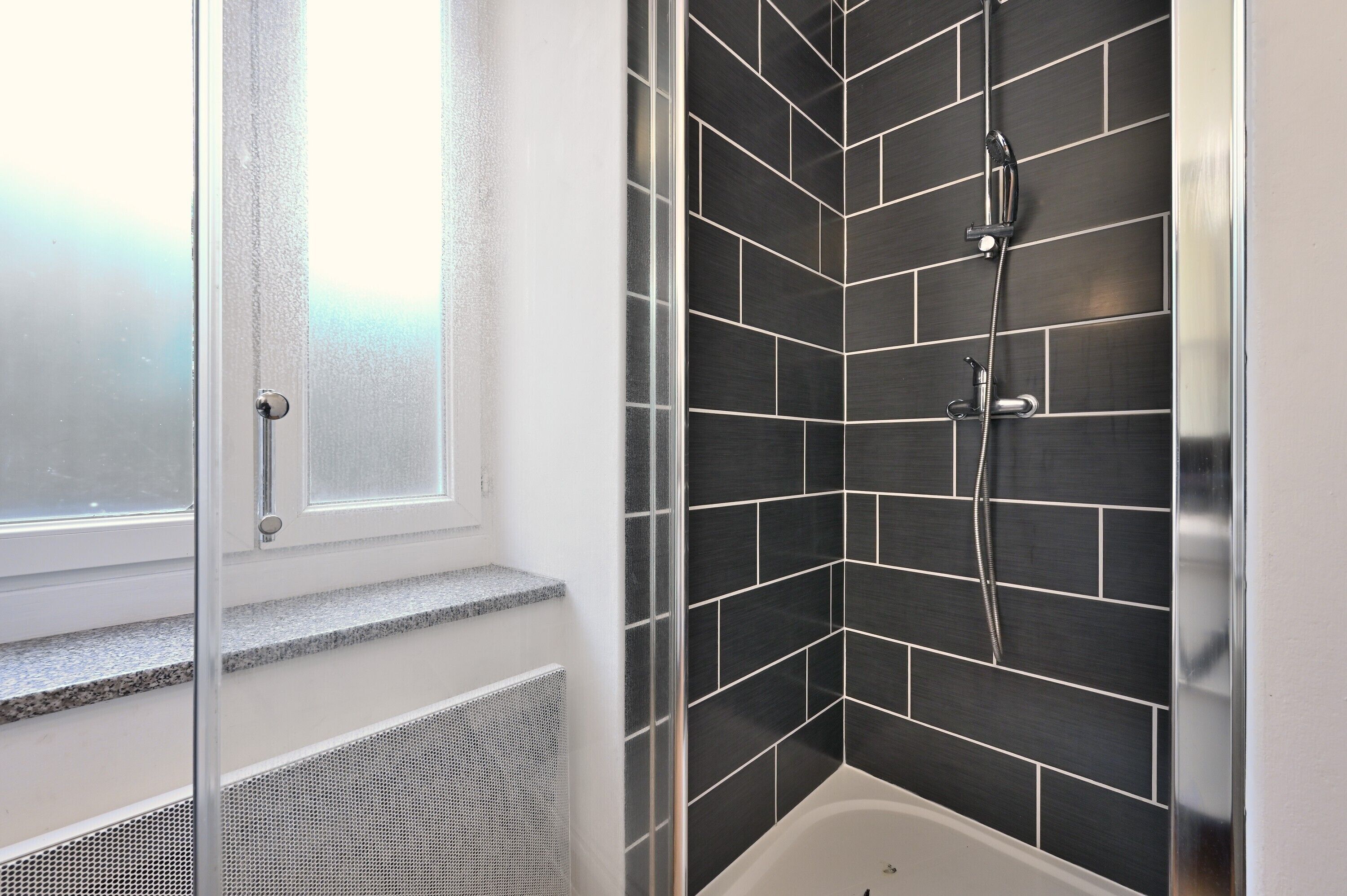 Shower, hair dryer