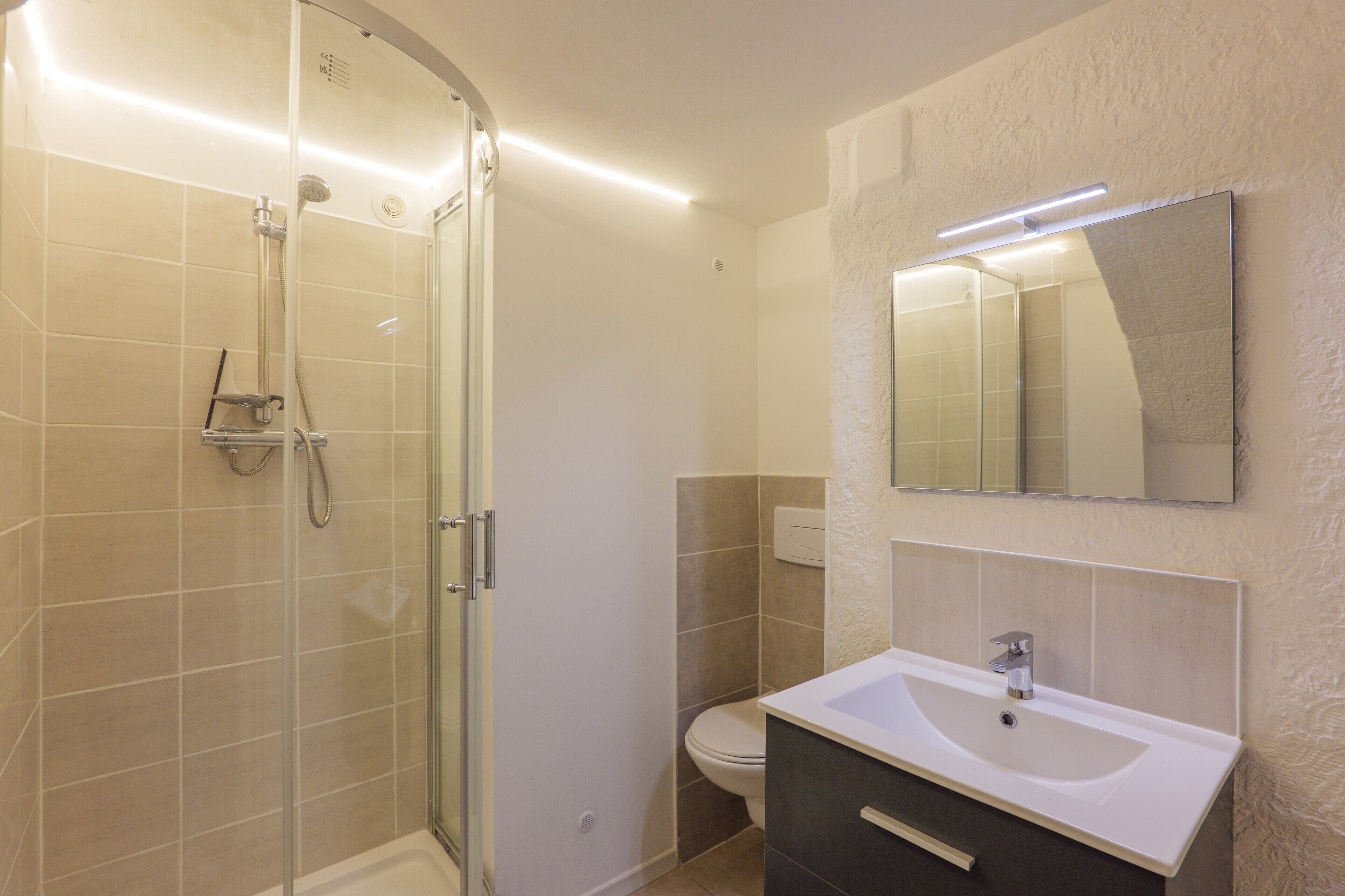 Une salle de bain avec une douche à parois de verre, des toilettes et un lavabo avec un miroir au-dessus.