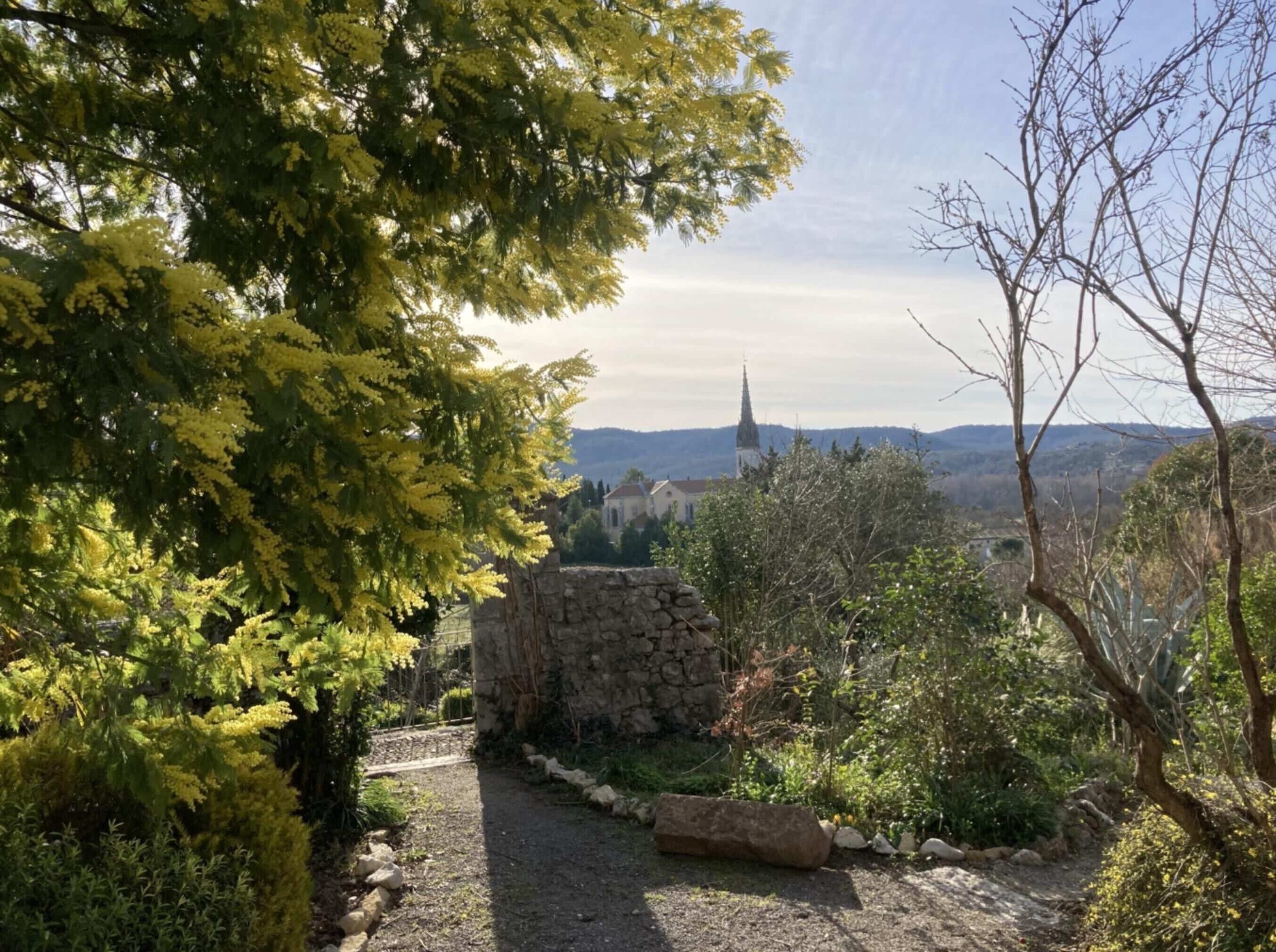 Parco della struttura