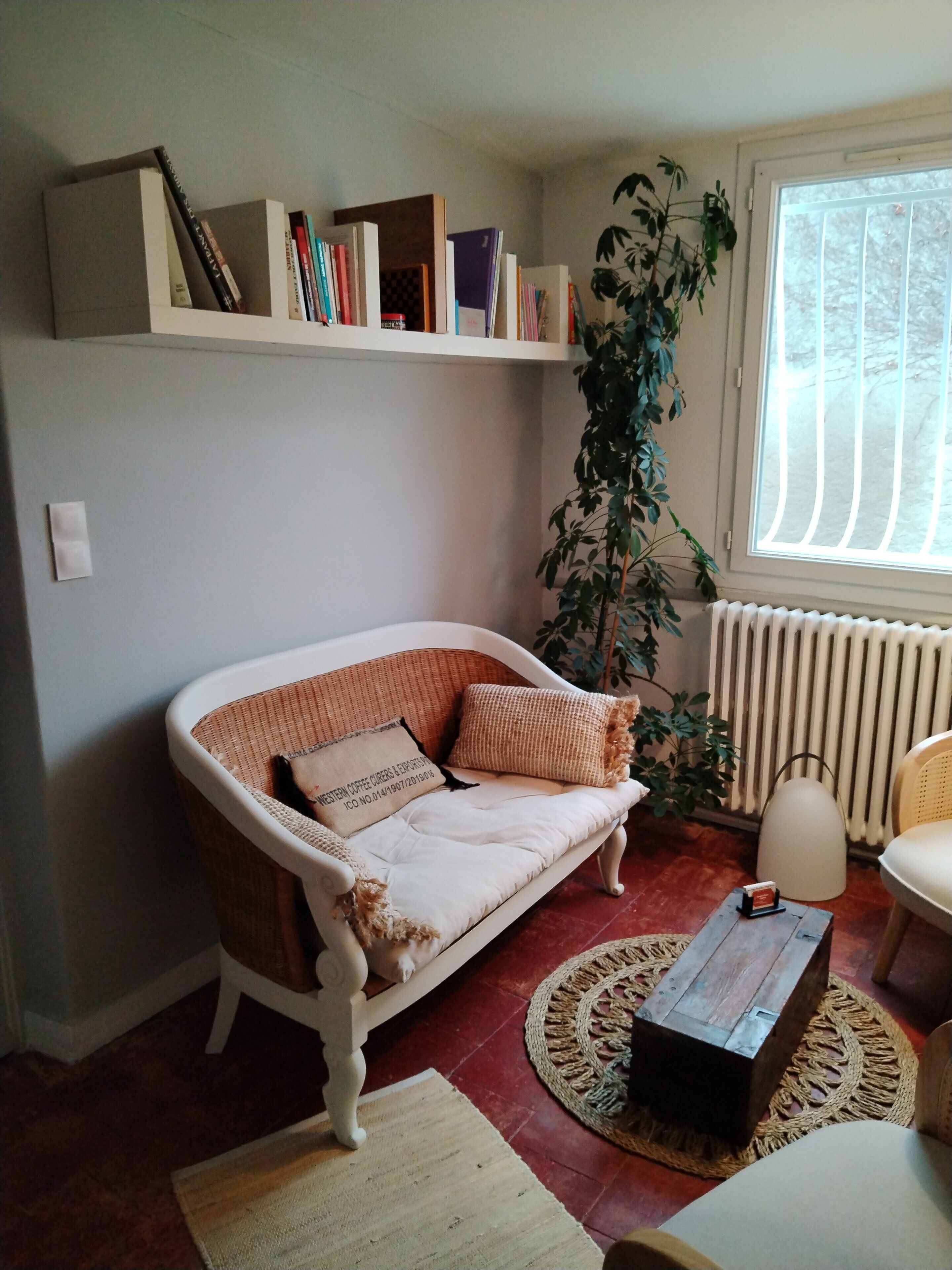 Un salón con un sofá blanco, una planta, un radiador y una estantería.