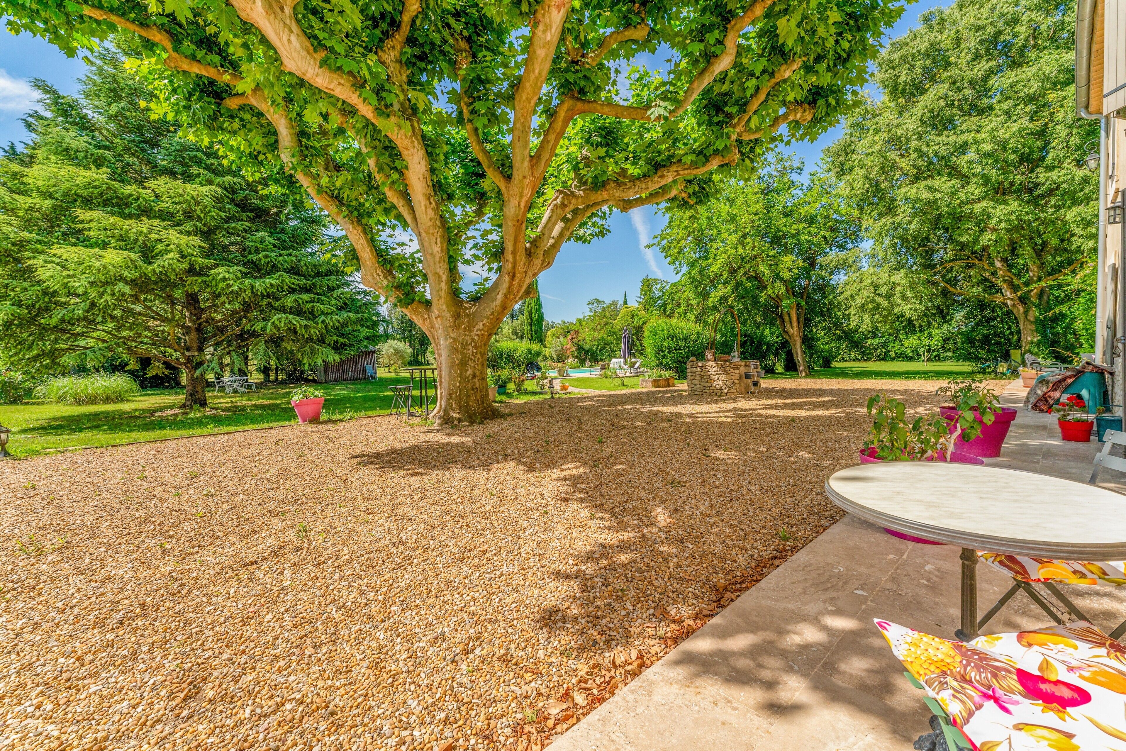 Un'area patio con tavolo e sedie, immersa tra alberi e un giardino.