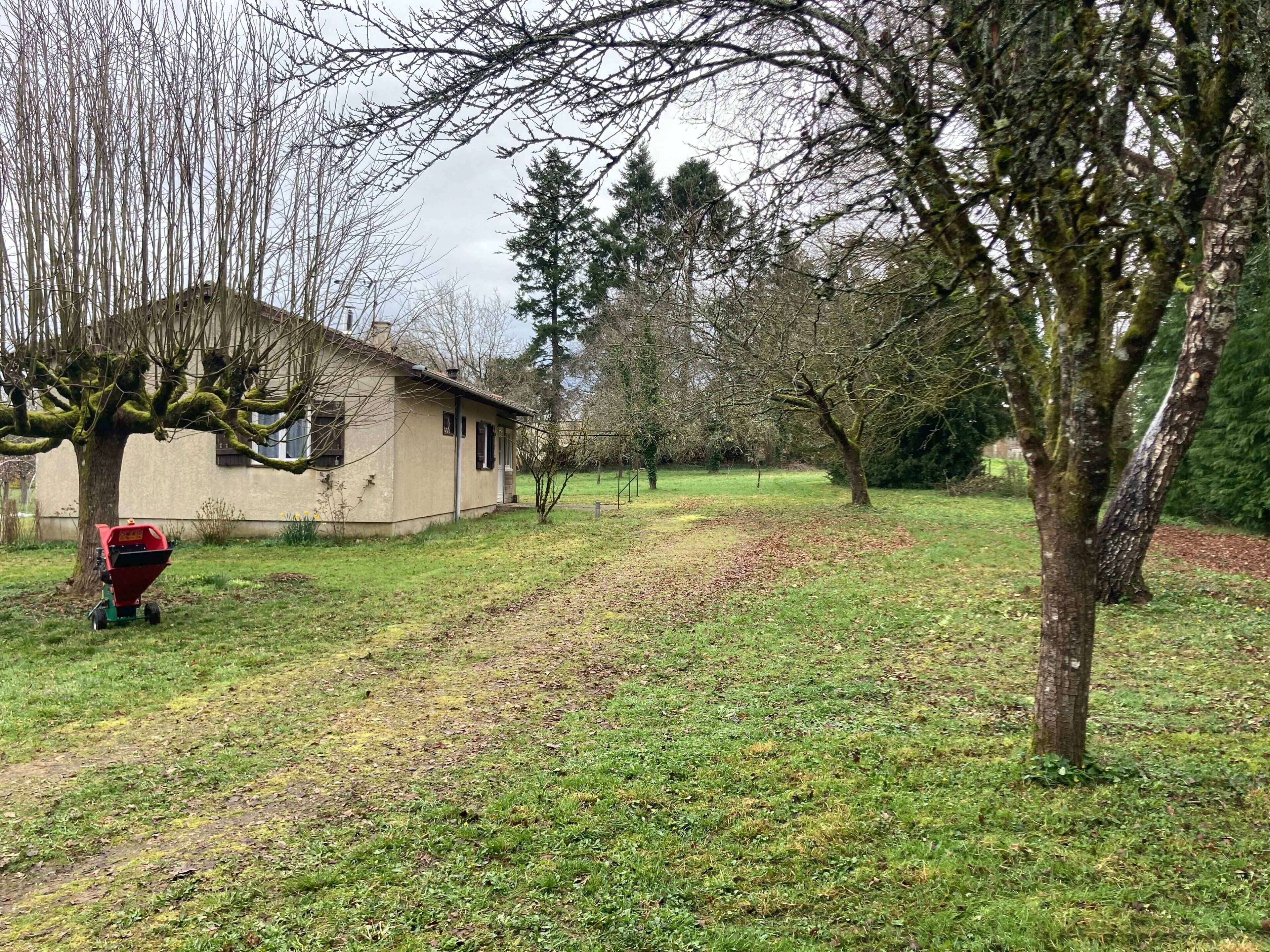 Un quartier résidentiel avec une maison, une pelouse et un arbre.