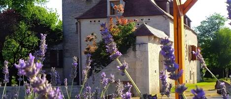 Terrein van de accommodatie