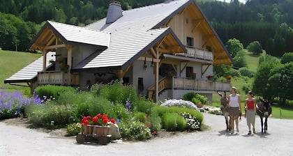 Bed and Breakfast 'Girolle' with Mountain View, Shared Garden and Wi-Fi