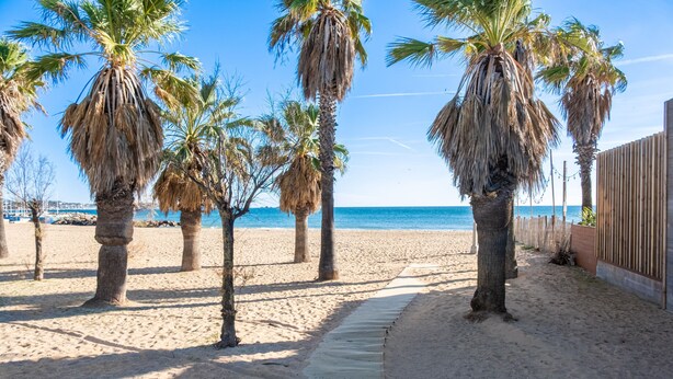 Une plage de sable avec des palmiers et une clôture en bois.