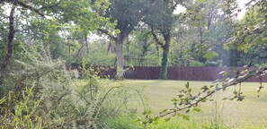 Property grounds - Gite Ti Libellule with Pool and Spa (Bussac-Forêt)