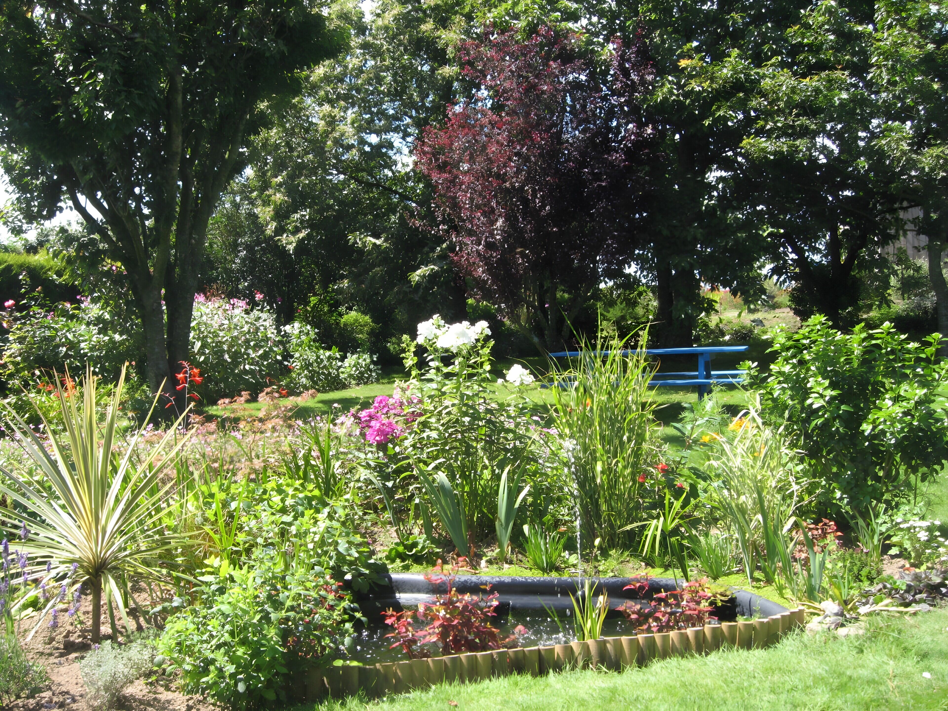 Área da propriedade