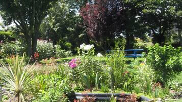 Área da propriedade