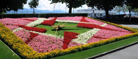 Terrein van de accommodatie