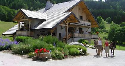 Bed & Breakfast 'Mayon' mit Bergblick, Gemeinschaftsgarten und WLAN