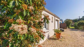 Área da propriedade