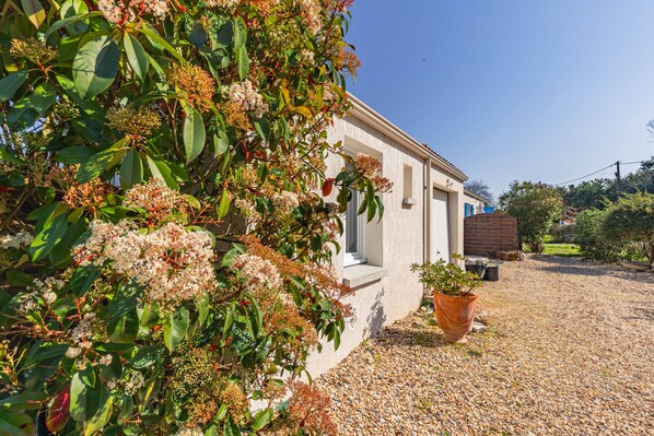 Un bâtiment avec une allée gravillonnée, un pot de fleurs et un petit jardin.
