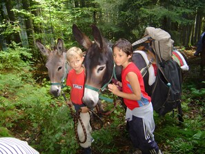 Miscellaneous - Bed and Breakfast 'Fauvette' with Mountain View, Shared Garden and Wi-Fi (Orcier)