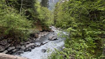 Overnatningsstedets område