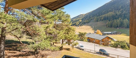 A view from a window overlooking a forested area with a building and a road.