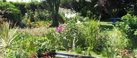 Jardines del alojamiento