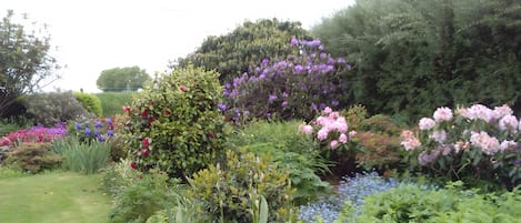 Terrain de lâhĂ©bergement