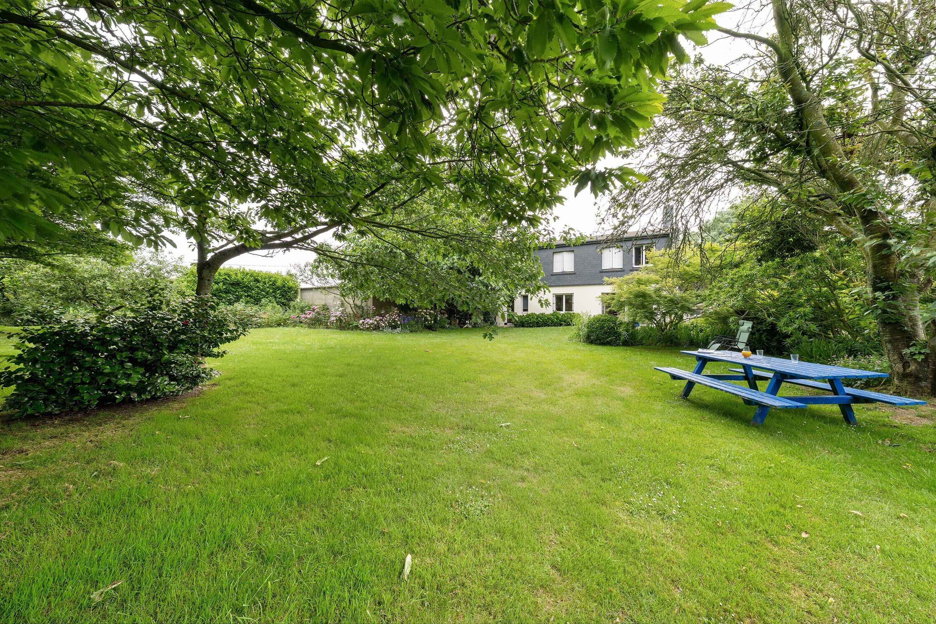 En græsplæde med et picnicbord og et hus i baggrunden.