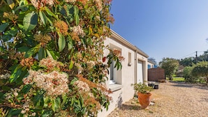 Un bâtiment avec une allée gravillonnée, un pot de fleurs et un petit jardin.