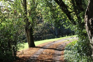 Lake - Les Alisiers (Houffalize)