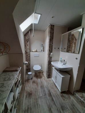 Ducha, secador de pelo y toallas