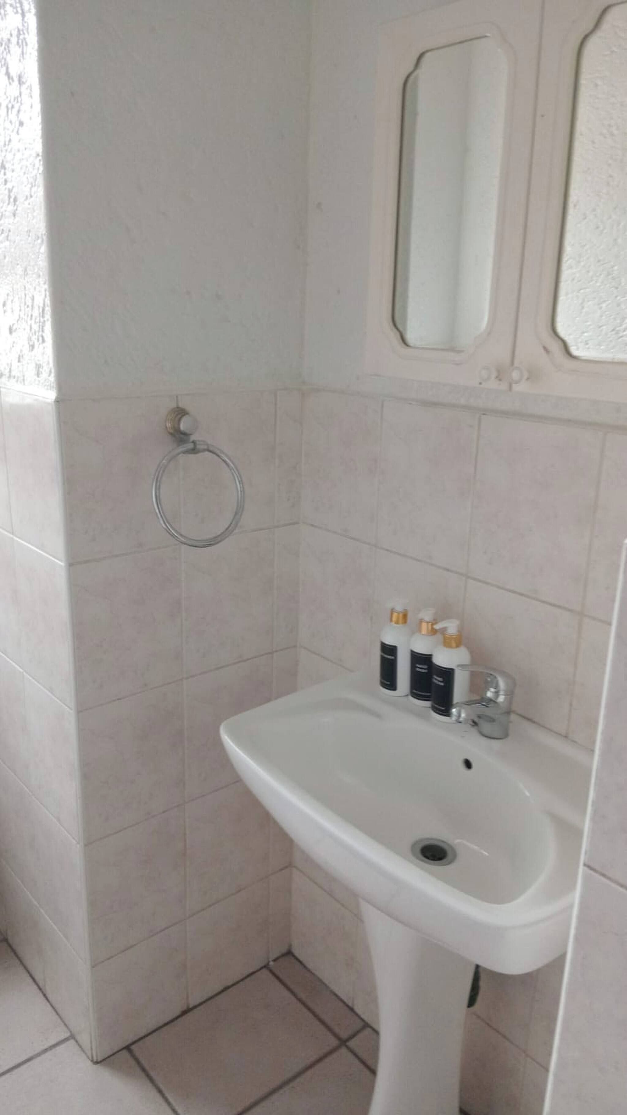 A bathroom with a white sink, a mirror above it, and a towel ring on the wall.